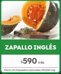 X$ - ZAPALLO INGLÉS