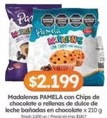 X$ - Madelenas con Chips de chocolate o rellenas de dulce de leche bañadas en chocolate