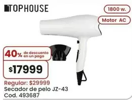 Secador de pelo JZ-43 Cod. 493687