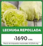 X$ - LECHUGA REPOLLADA