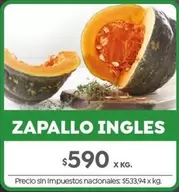X$ - ZAPALLO INGLES