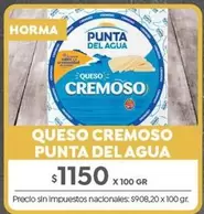 Punta del Agua - QUESO CREMOSO