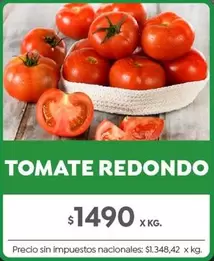 Redondo - TOMATE REDONDO