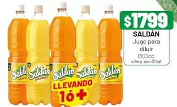 Saldan - Jugo para diluir