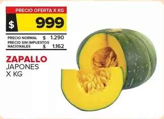 X$ - ZAPALLO JAPONES