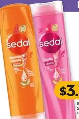 Sedal - Shampoo