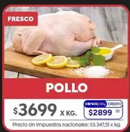 X$ - POLLO
