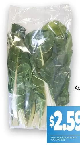 Swiss Chard