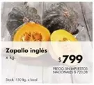 X$ - Zapallo inglés