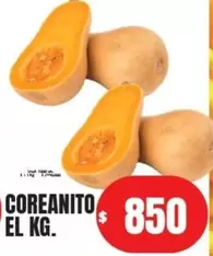 COREANITO
