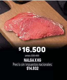 NALGA X KG