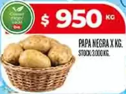 X$ - PAPA NEGRA