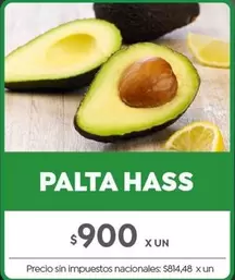 X$ - PALTA HASS