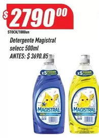 Magistral - Detergente  selecc