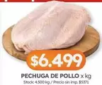 X$ - PECHUGA DE POLLO