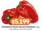 Rojo - PIMIENTO ROJO SELECCIONADO