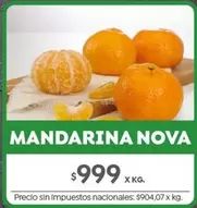 X$ - MANDARINA NOVA