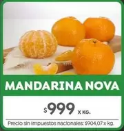 X$ - MANDARINA NOVA