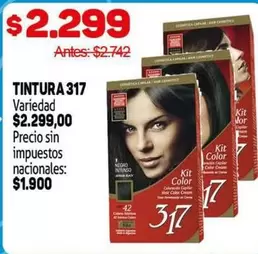 42 - TINTURA 317