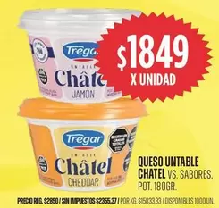 Tregar - QUESO UNTABLE CHÂTEL VS. SABORES