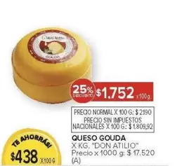 X$ - QUESO GOUDA