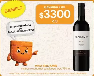 Benjamin - VINO