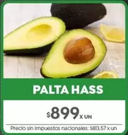 X$ - PALTA HASS