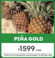 X$ - PIÑA GOLD