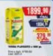 Knorr - Planta