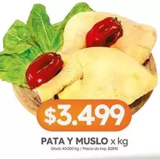 X$ - Pata y Muslo