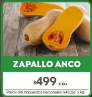 X$ - ZAPALLO ANCO