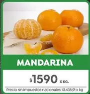 X$ - MANDARINA