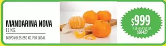 MANDARINA NOVA