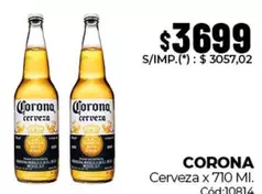 Corona - Cerveza