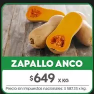 X$ - ZAPALLO ANCO