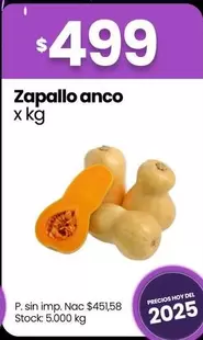 Zapallo anco