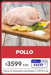 X$ - POLLO