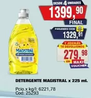 Magistral - DETERGENTE MAGISTRAL x 225 ml.