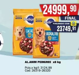 Pedigree - AL.ANIM PEDIGREE