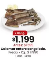 X$ - Calamar entero congelado