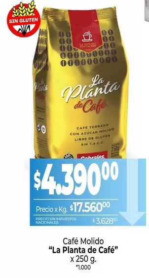 La planta de Café - Café Molido