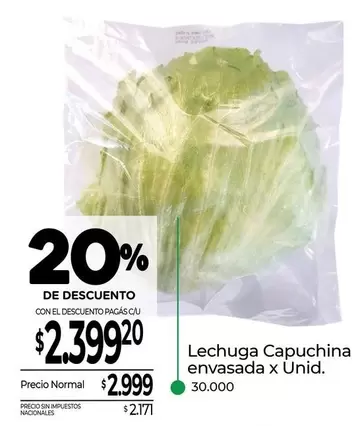 X$ - Lechuga Capuchina