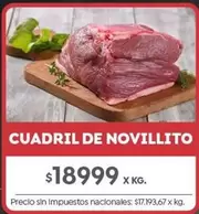 X$ - CUADRIL DE NOVILLITO