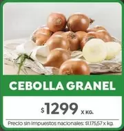X$ - CEBOLLA GRANEL