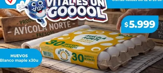 Vital - Huevos Blanco maple