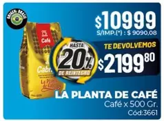 La planta de Café - Café x 500 Gr. Cód:3661