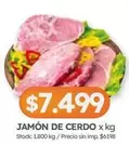 X$ - JAMÓN DE CERDO