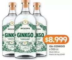 Patagonia - Gin Ginkgo