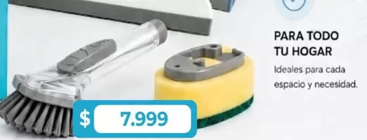 Cepillo y esponja para todo tu hogar