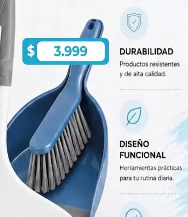 Dustpan and Brush Set